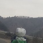 충격적인 <b>수호</b>랑 최근근황;;