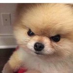 모종에<b>물주</b>고옴