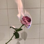 [사랑과이별] 처음부터 끝