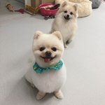 엄마<b>아빠</b> <b>세대</b> 노래도 은근 좋은듯 ㅇㅇ