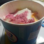 <b>베라</b> 레인보우 샤베트 좋아하는판녀있음??