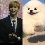 [강다니엘] 동글동글 멈무에여