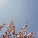 [사진ㅇ] 내가 찍은 사진들 보고 <b>가랑</b>