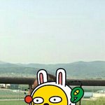 포항<b>시외</b>버스터미널에서 카드목걸이지갑을 잃어버렸어요 ㅠㅠ