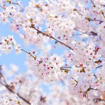 다시돌아와따 연애상담해줄겡