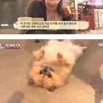 [드루와] 아니 이거봐 넘 귀엽지않냐?ㅠㅠㅠㅠ