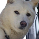 [NCT] 뭐야 벌써 두<b>시임</b>?