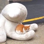 이상형 말하고 가!