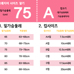 [댓글부탁해] 브래지어 사이즈 조언해줄사람?ㅠㅠ