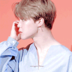 [방탄소년단] 아미들 아미들 제블 제발