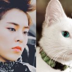 [EXO] 지금 조작충 그로 <b>악개</b> 같지 않음?
