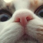 코앞에서 본 너의 눈,<b>코</b>,<b>입</b>