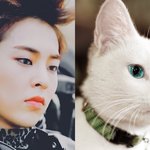 [EXO] 뀨