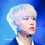 [박우진] 요즘따라 요정미 너무 낭낭하다