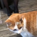 [댓글부탁해] 넌 길거리에 울리는 내 노래를 피해서 걸어줘 걸어줘