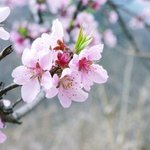 [댓글부탁해] 사랑이 이루어지는 <b>주술</b> 후기