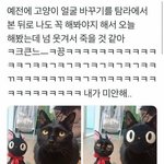[드루와] <b>하비</b>들아 바지 어디서사냐