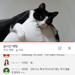 [댓글부탁해] <b>배리</b>나 라이브 울고있음