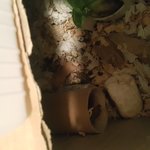 세월이 왜이리 빠른걸까