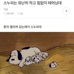 중3인데 수의대 가고싶어졌어