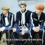 [NCT] 모든 <b>동물</b>들과 친해질수 있는 능력ㅋㅋㅋ