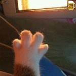 이재명<b>명명</b>명명