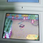 <b>동숲</b> 하는데 옷 너모 기엽지않냐