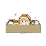 [강다니엘] 루피오녤짱!