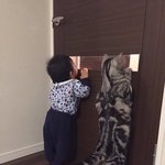 비가 와서 <b>낙엽</b>이 많이 떨어졌거든?