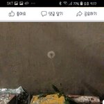 [고양이] 대전<b>목동</b> 재개발지역 구조 아가냥입니다