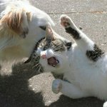 [EXO] 아니 근데솔직히 짜증나는건맞잖아