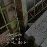 아이들의 보금자리, 점점 <b>노후</b>화되고 있습니다.
