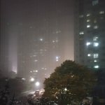밖에 개이상함