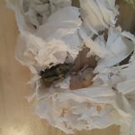 <b>북문</b>이가 북돌이를 낳고 북돌이가 북총이를 낳고~~~~