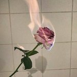 [댓글부탁해] 평범한애나 <b>찐따</b>들한테만 까이고 일진이나 양아치들이...