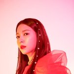 보아가 보아인 이유