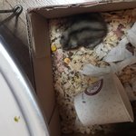 북총이 은신처 셋팅~~~