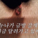 [댓글부탁해] 올리브영에서 아임미미어쩌구<b>사면</b> 워너원