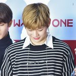 [강다니엘] 녜리 손등에 상처난 이유