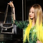 한예슬 불가리 가방!!!!!!!!!!!!!!!! 내꺼하고싶어요 <b>취저</b>