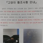 차량 <b>긁힘</b>...아파트 길고양이들