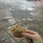 오늘 나의 하루 ^~^