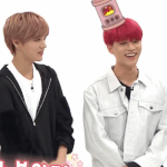 [NCT] 김도영 고양이로 보이는데?
