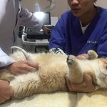 [19] 너네 <b>가슴사이즈</b> 솔직히 뭐야?