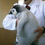 [드루와] 나 살면서 딱 한번 여자 좋아해봄