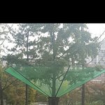 요즘 은행냄새 안나게하는 신박한 방법ㄷㄷ