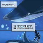 <b>흑</b>등고래의 지능 수준 ㄷㄷㄷ