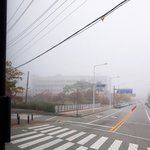[드루와] <b>안개</b>가 너무자욱하다