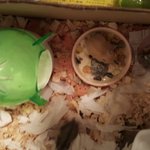 세계에 통하는 한국의 귀염귀염 문화~~~~