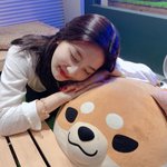 레드벨벳 조이 귀여운 <b>설정</b>샷